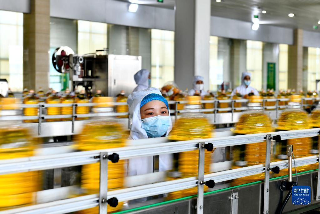 集结游戏平台电子